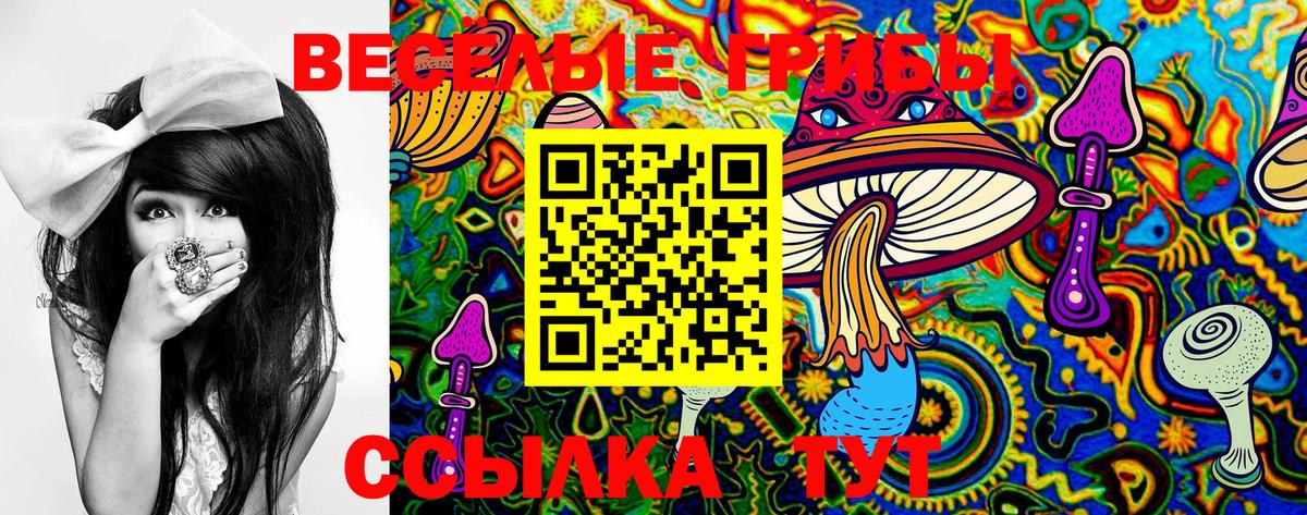 Псилоцибиновые грибы прущие грибы Владивосток