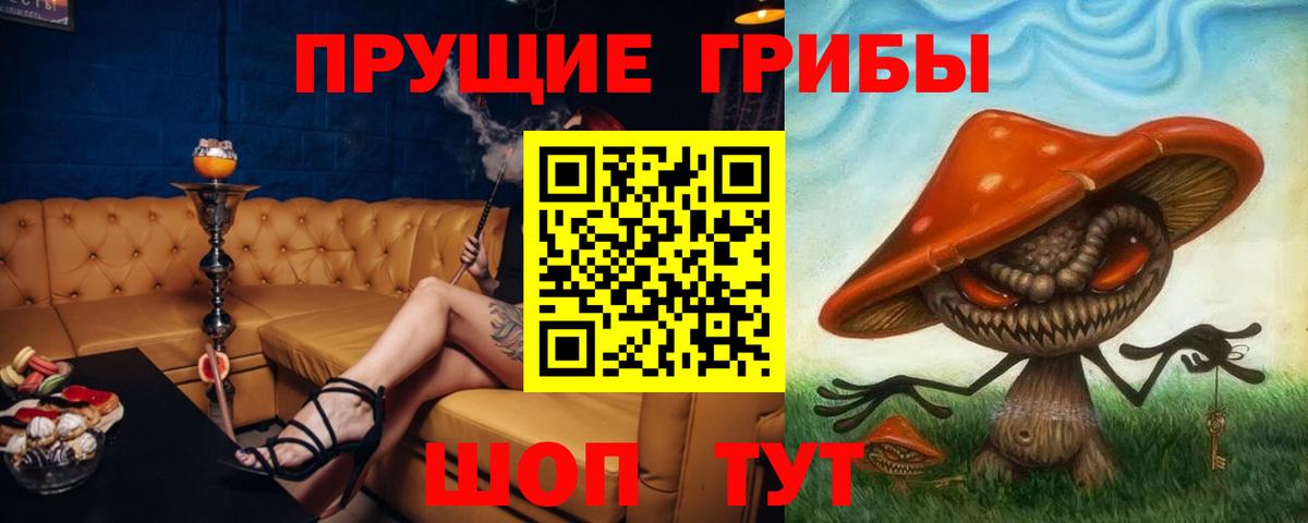 Владивосток  Псилоцибиновые грибы MAGIC MUSHROOMS  Псилоцибиновые грибы Psilocybine cubensis  Вход с VPN 